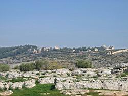 IMG_7280.jpg