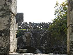 IMG_7283.jpg