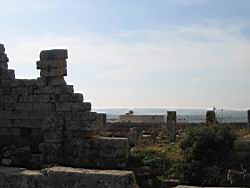 IMG_7288.jpg