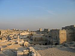IMG_7296.jpg