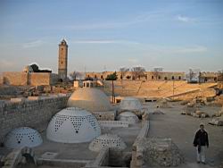IMG_7303.jpg