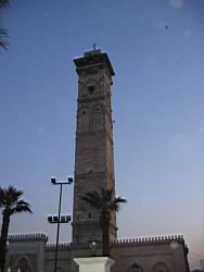IMG_7313.jpg