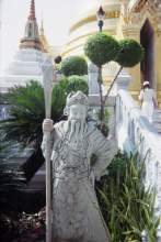 16510084.jpg