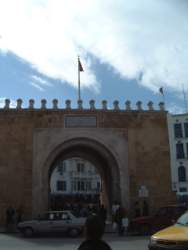 DSCF5517.JPG