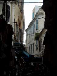 DSCF5519.JPG