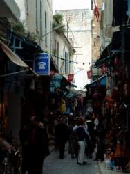 DSCF5525.JPG
