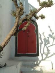 DSCF5530.JPG