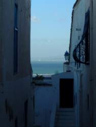 DSCF5540.JPG