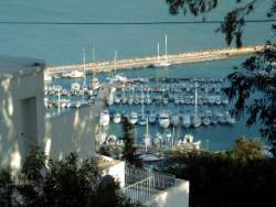DSCF5545.JPG