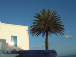 DSCF5548.JPG