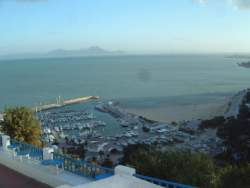 DSCF5549.JPG