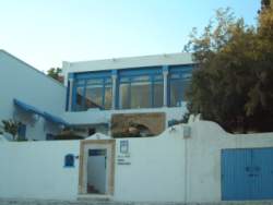 DSCF5550.JPG