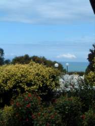 DSCF5554.JPG