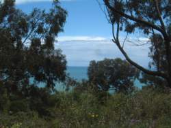 DSCF5557.JPG