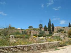 DSCF5560.JPG