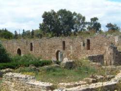 DSCF5563.JPG