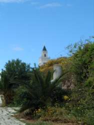 DSCF5564.JPG
