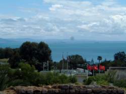 DSCF5567.JPG