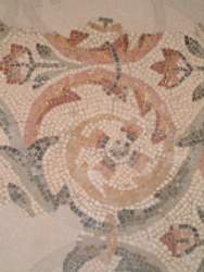 DSCF5599.JPG