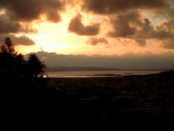 DSCF5601.JPG