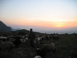 IMG_7320.jpg