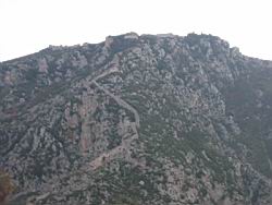 IMG_7323.jpg