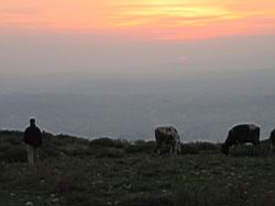 IMG_7324.jpg