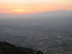IMG_7326.jpg