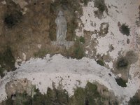 IMG 7317