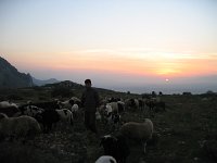 IMG 7320
