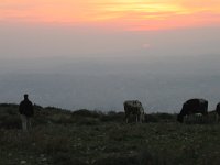 IMG 7324