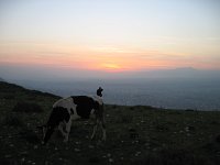 IMG 7325