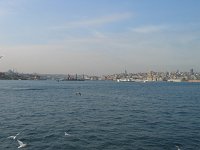 IMG 7334