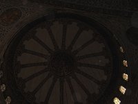 IMG 7339