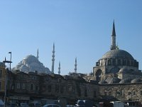 IMG 7423