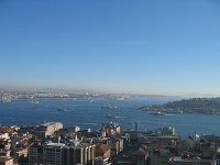 IMG 7445