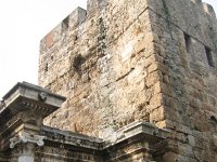 IMG 7461