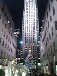2010.11-12.34.jpg