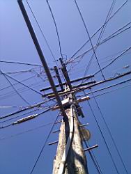 IMG_20110529_092550.jpg