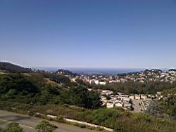 IMG_20110529_094711.jpg