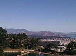 IMG_20110529_094752.jpg