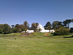 IMG_20110529_101237.jpg