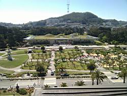 IMG_20110529_103631.jpg