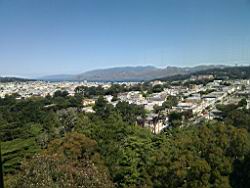 IMG_20110529_103818.jpg