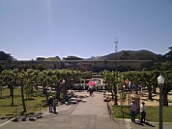 IMG_20110529_104952.jpg