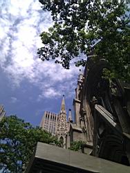 IMG_20110604_113753.jpg