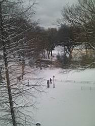 IMG_20120121_124810.jpg