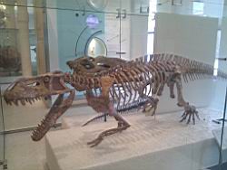 IMG_20120122_141730.jpg