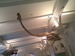 IMG_20120122_141825.jpg
