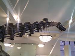 IMG_20120122_142719.jpg